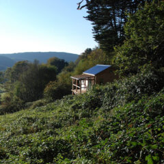 A small wooden cabin with a blue roof is nestled among dense green foliage on a hillside, with distant hills and a clear blue sky in the background.