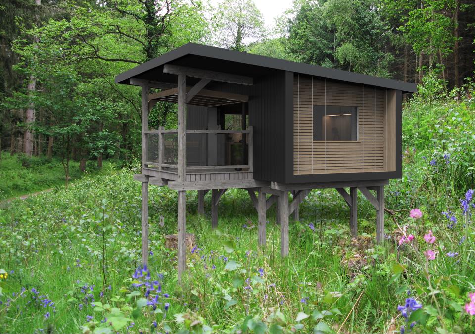 A modern, small black cabin with wooden slats stands elevated on stilts in a lush, green meadow surrounded by wildflowers and trees. The cabin has a covered porch and large window.
